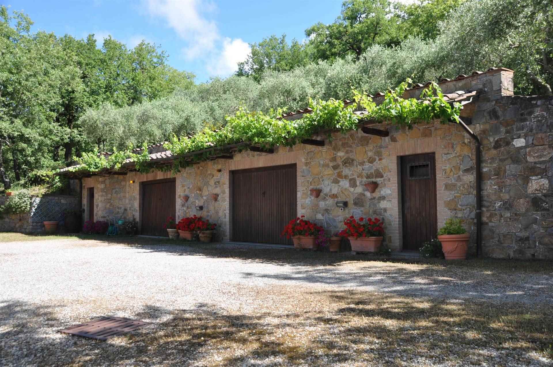 Radda in Chianti (Siena) photo 4