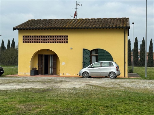 Pontedera (Pisa) photo 3