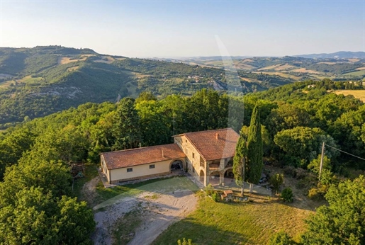 Castiglione d'Orcia (Siena) photo 3