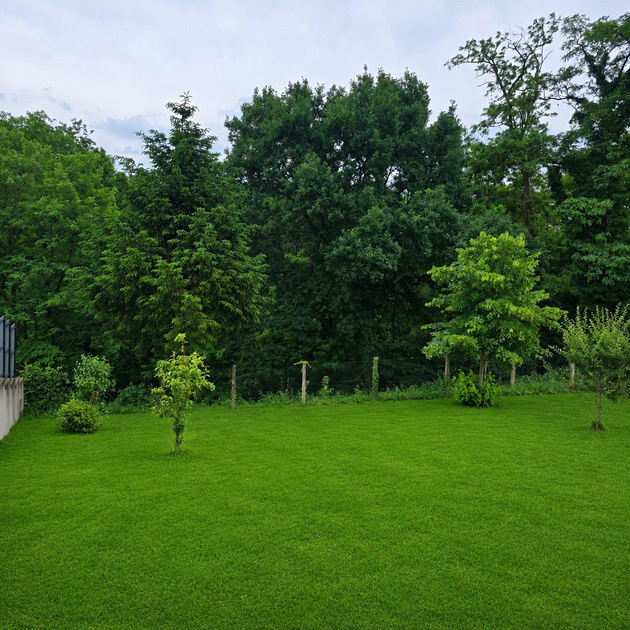 Maison à vendre, 100m², Schirrhein