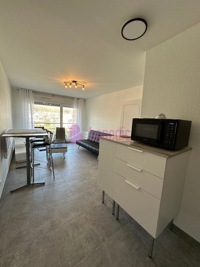 Appartement à vendre, 38m², Metz