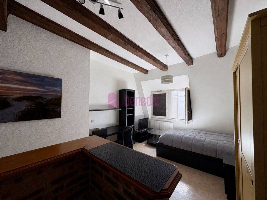 Appartement à vendre, 23m², Strasbourg