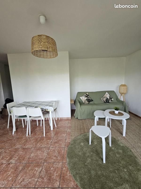 Appartement à louer, 48m², Villejuif