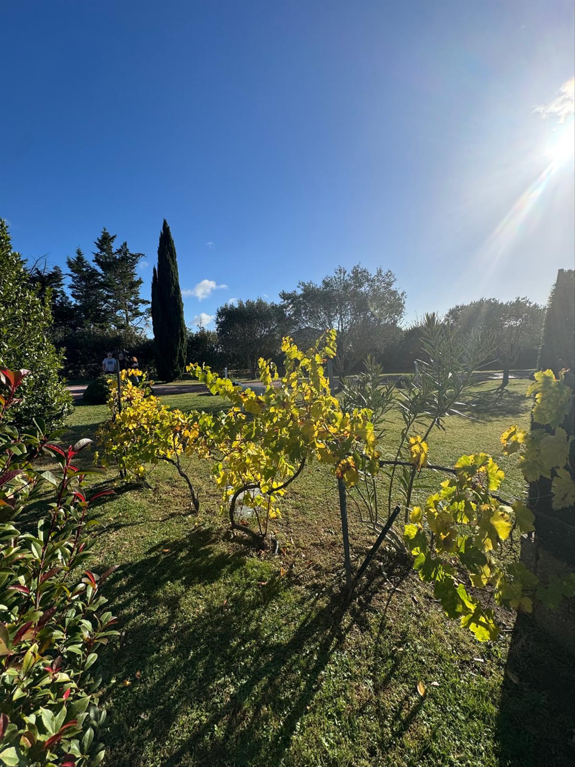 Maison à vendre, 153m², Moussoulens