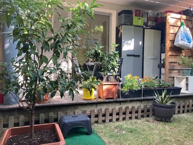 Appartement à vendre, 22m², Castanet-Tolosan