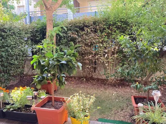 Appartement à vendre, 22m², Castanet-Tolosan