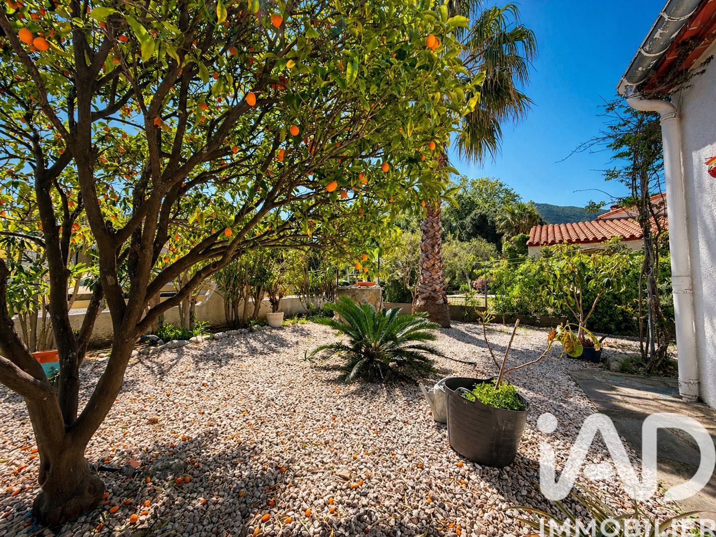 Maison à vendre, 102m², Sorède