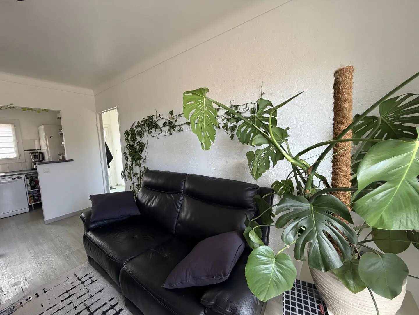Appartement à vendre, 38m², Canet-en-Roussillon