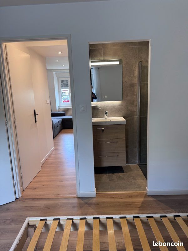 Appartement à louer, 50m², Delle