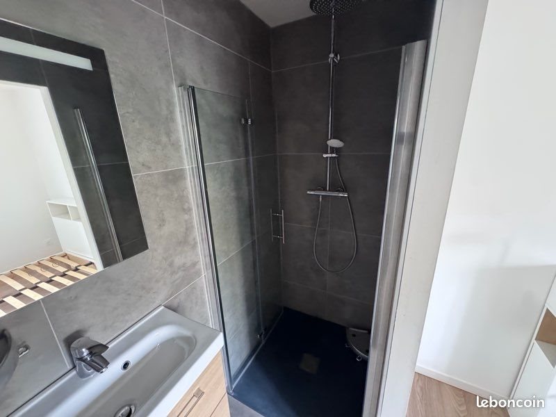 Appartement à louer, 50m², Delle