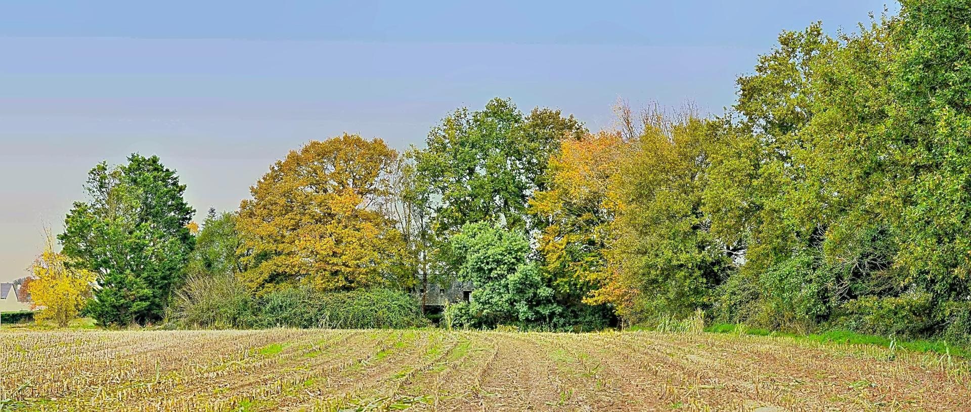 Maison à vendre, 135m², Pipriac