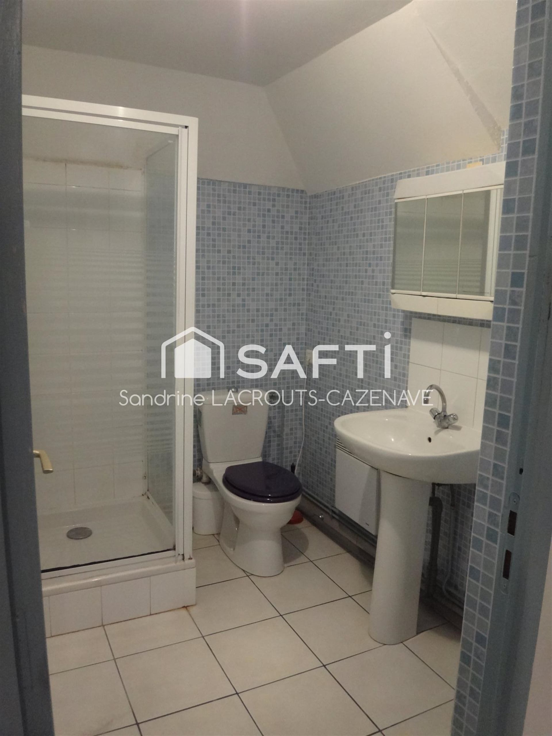 Appartement à vendre, 400m², La Chapelle-Saint-Mesmin
