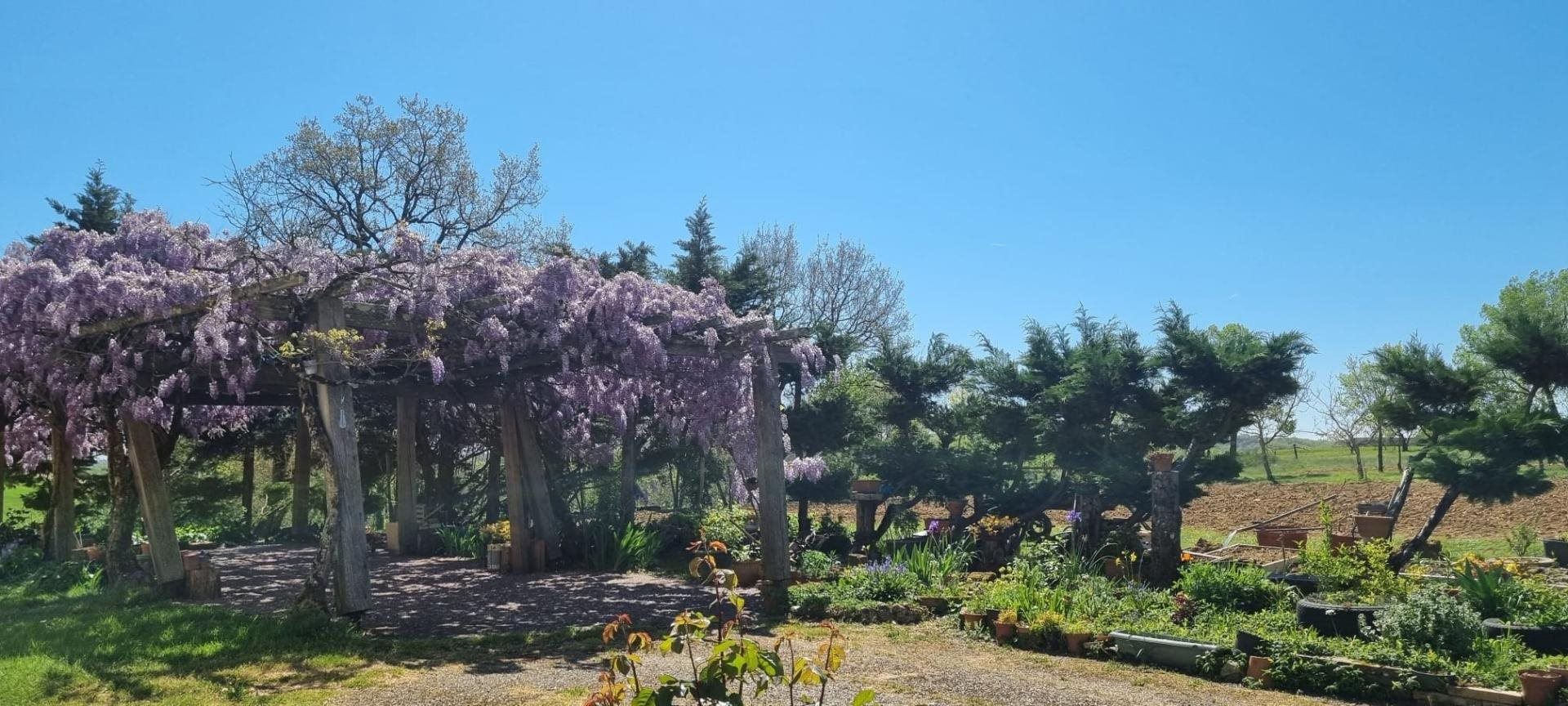 Maison à vendre, 360m², Lavit