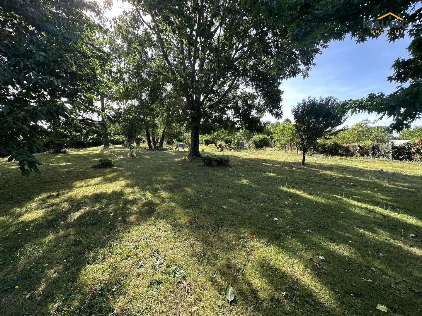 Maison à vendre, 217m², Marcellus