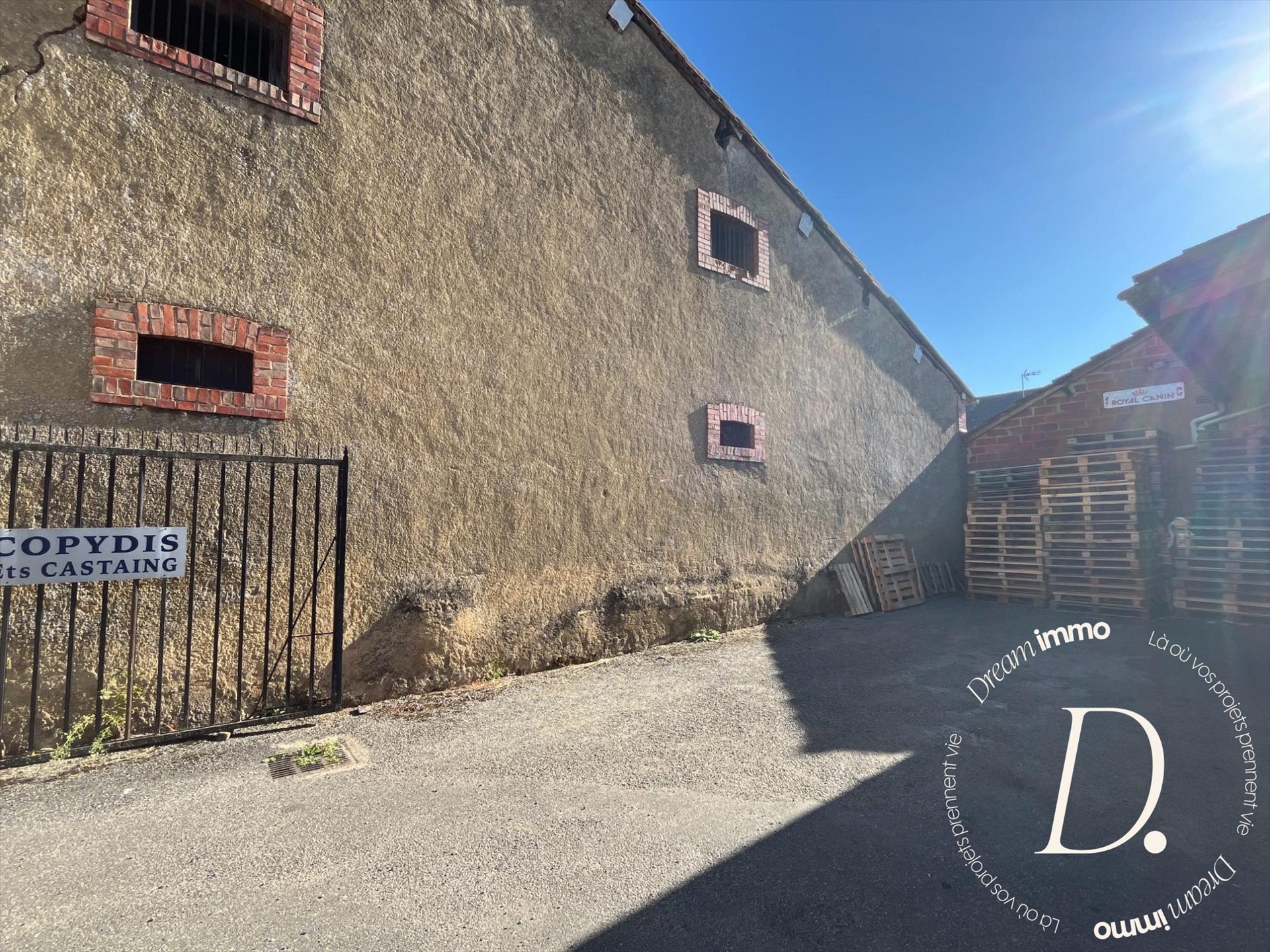 Maison à vendre, 408m², Trie-sur-Baïse