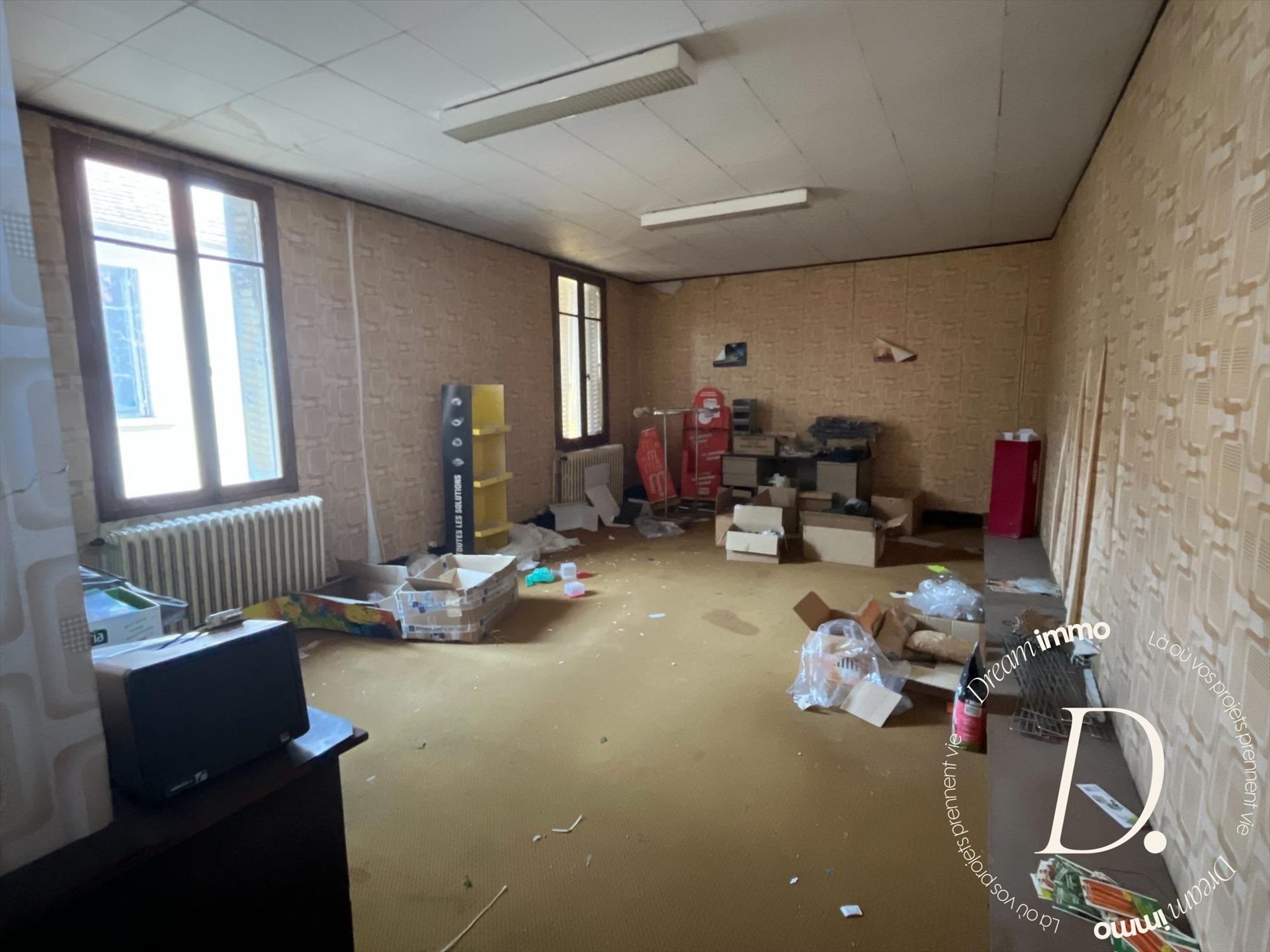 Maison à vendre, 408m², Trie-sur-Baïse