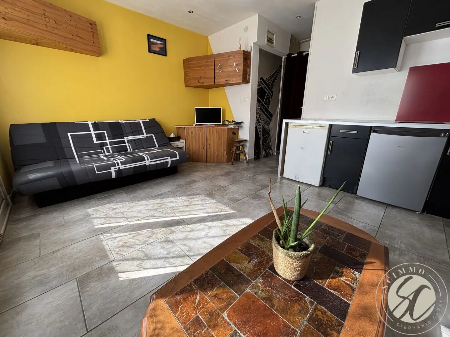 Appartement à vendre, 19m², Saint-Cyprien