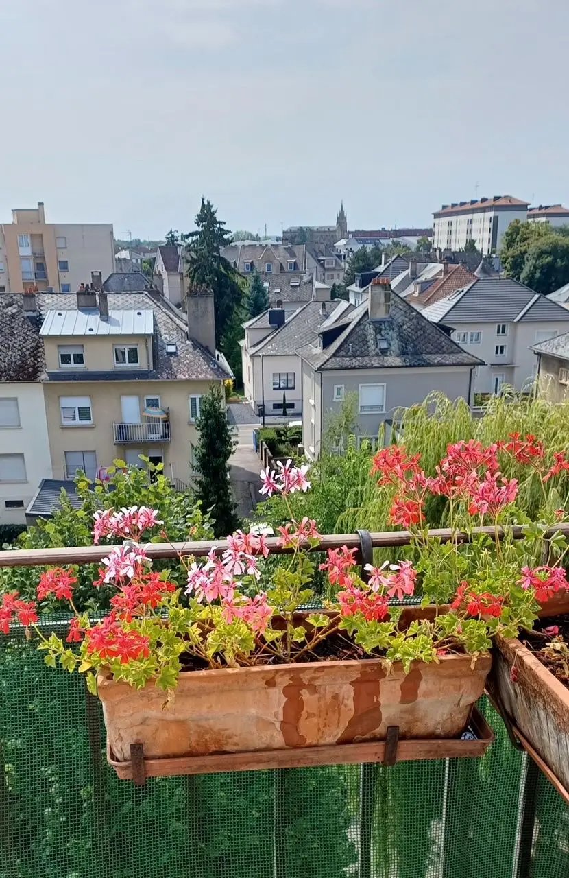 Appartement à vendre, 68m², Thionville