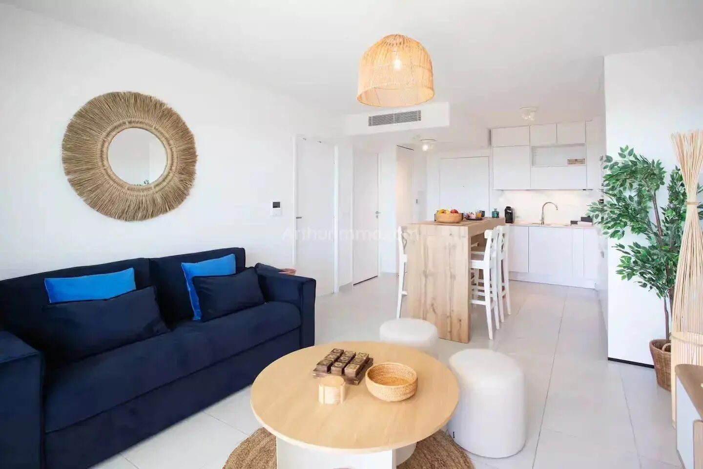 Appartement à louer, 42m², Villeneuve-Loubet