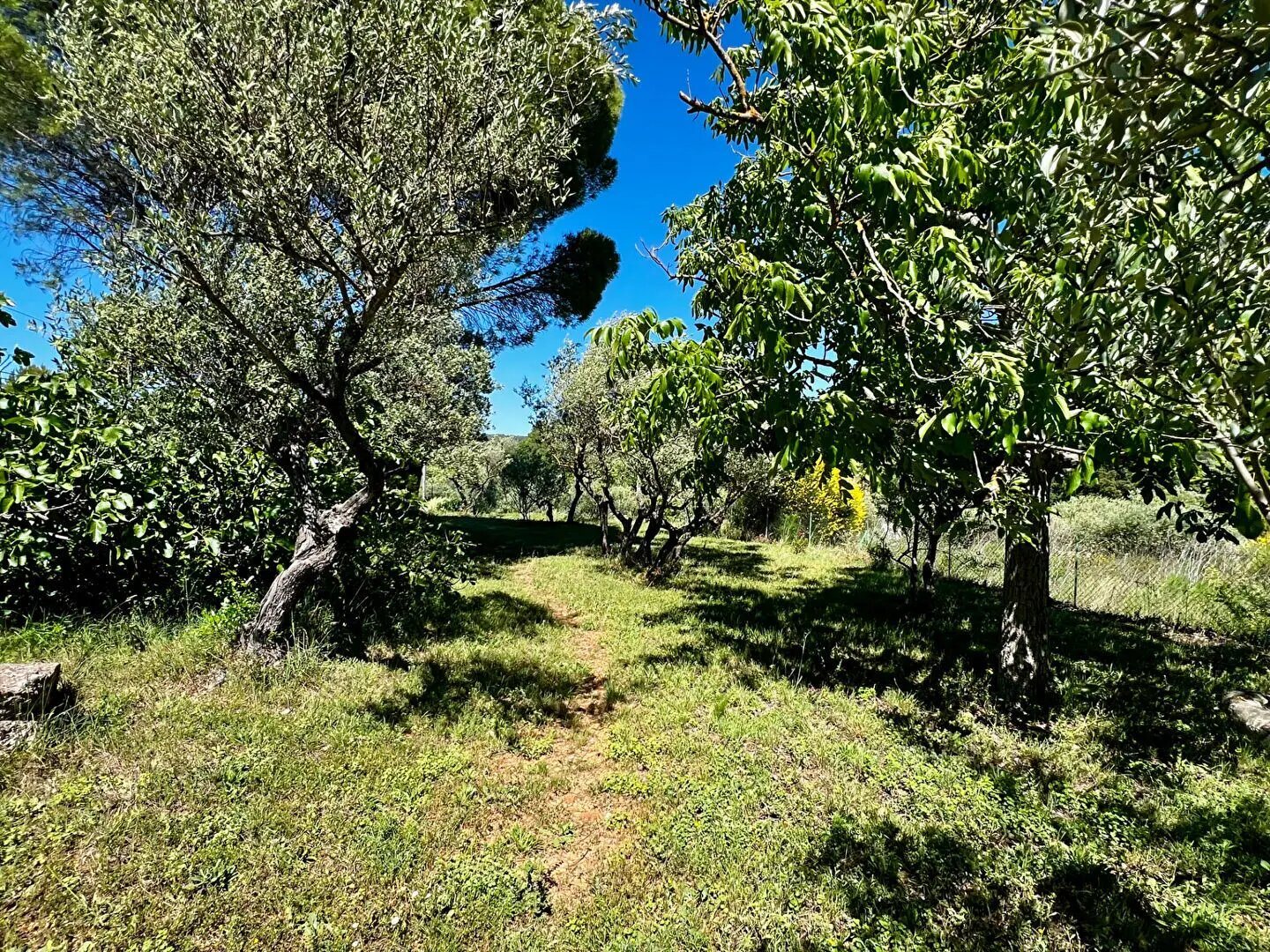 Maison à vendre, 119m², Cotignac
