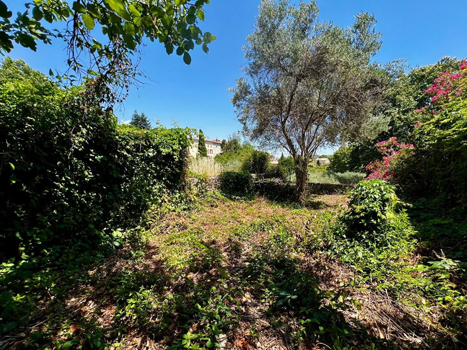 Maison à vendre, 53m², Carcès