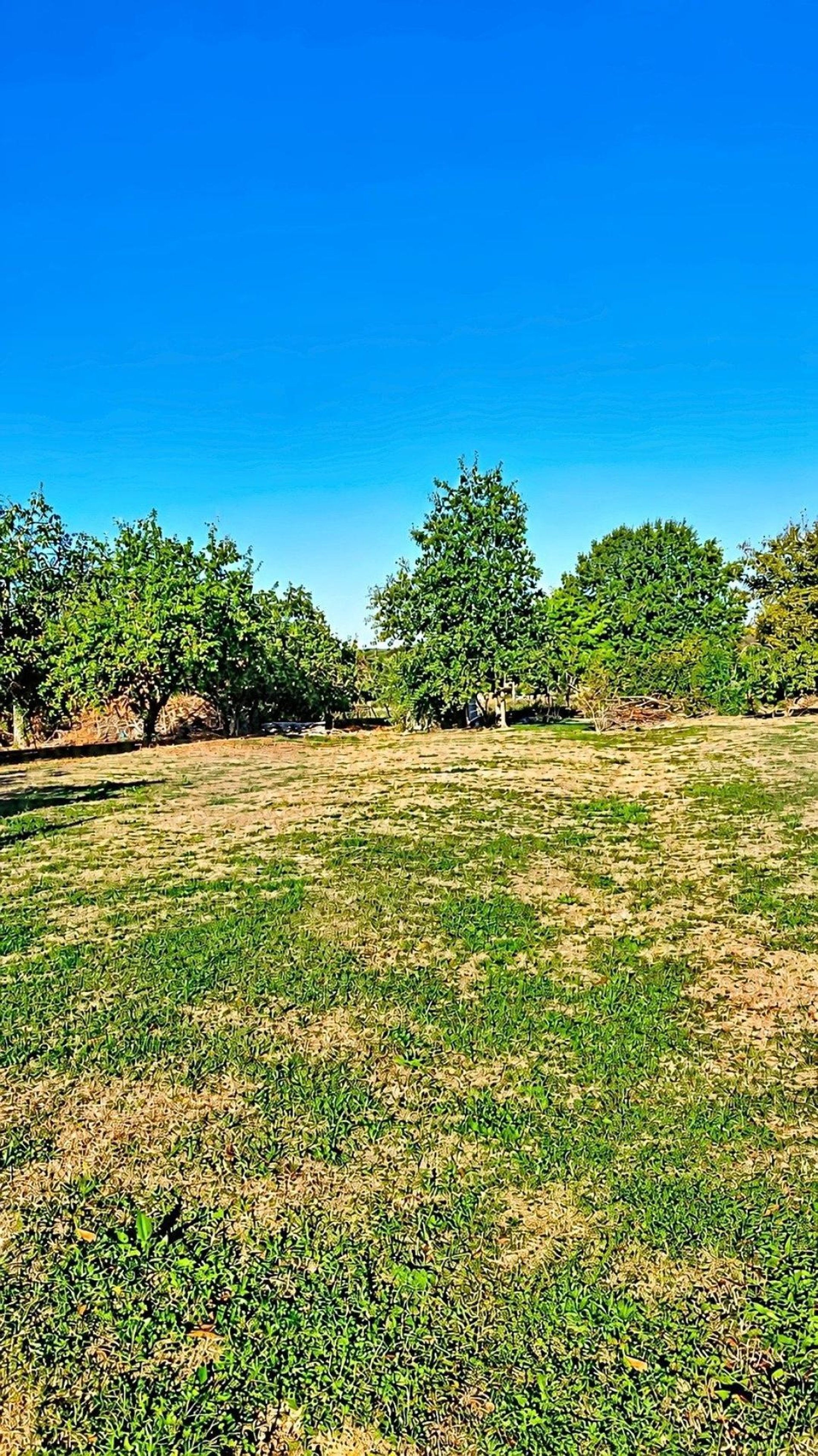 Maison à vendre, 100m², Savigny-sur-Seille