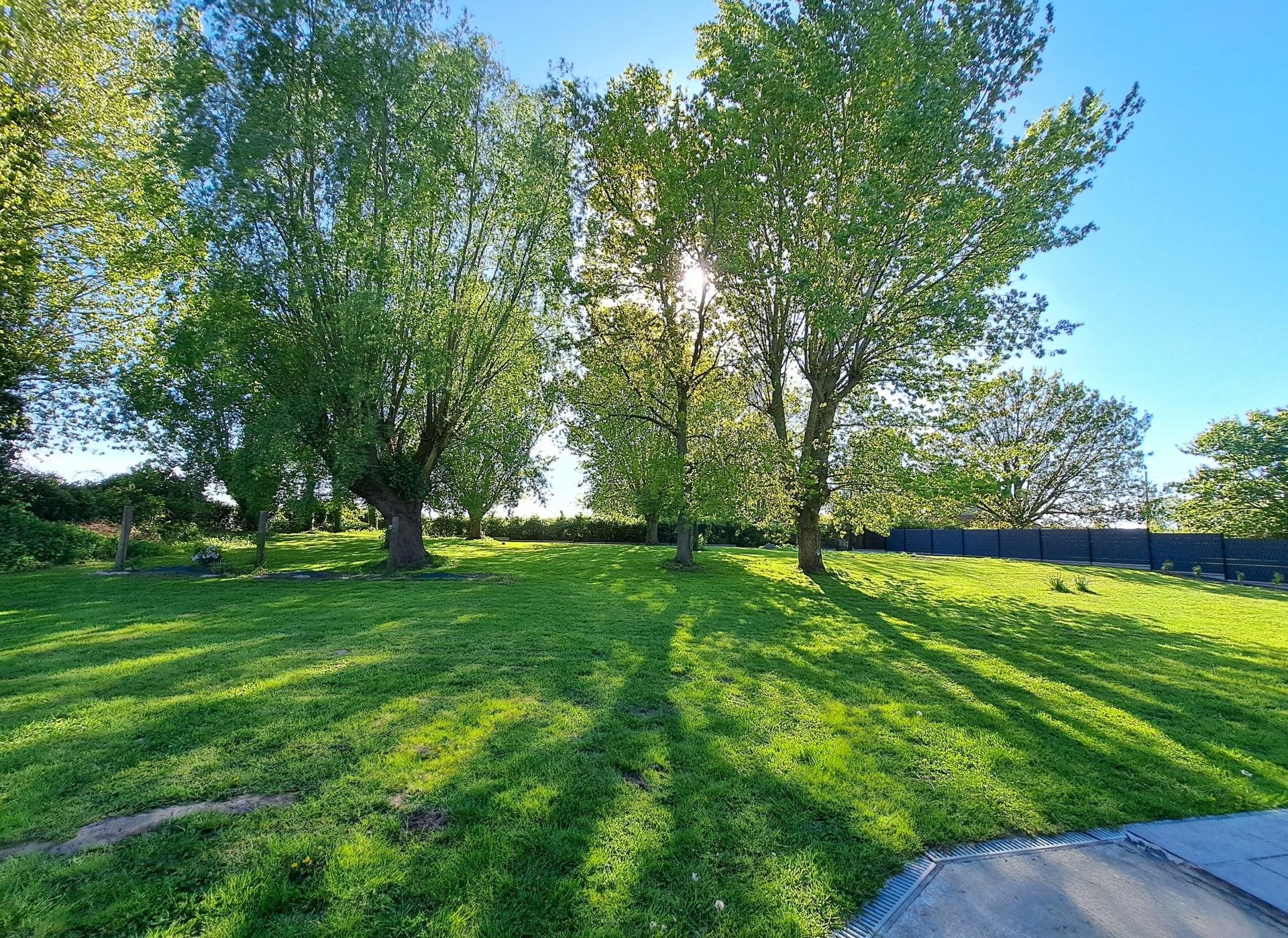 Maison à vendre, 220m², Quaëdypre