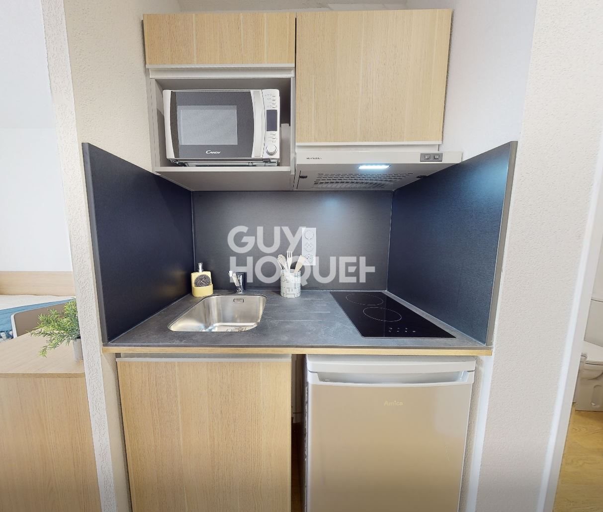 Appartement à louer, 18m², Villenave-d'Ornon