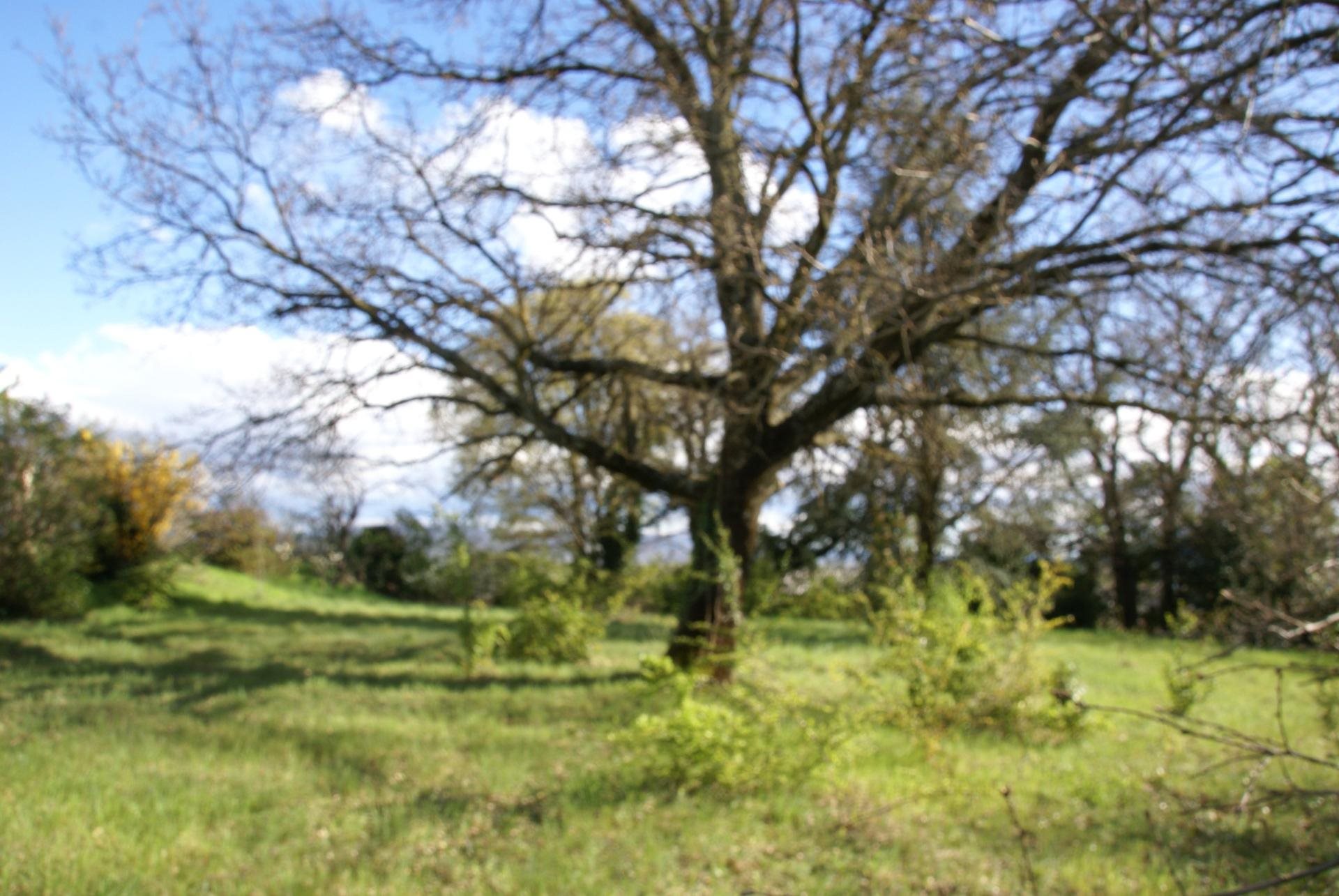 Maison à vendre, 150m², La Voulte-sur-Rhône