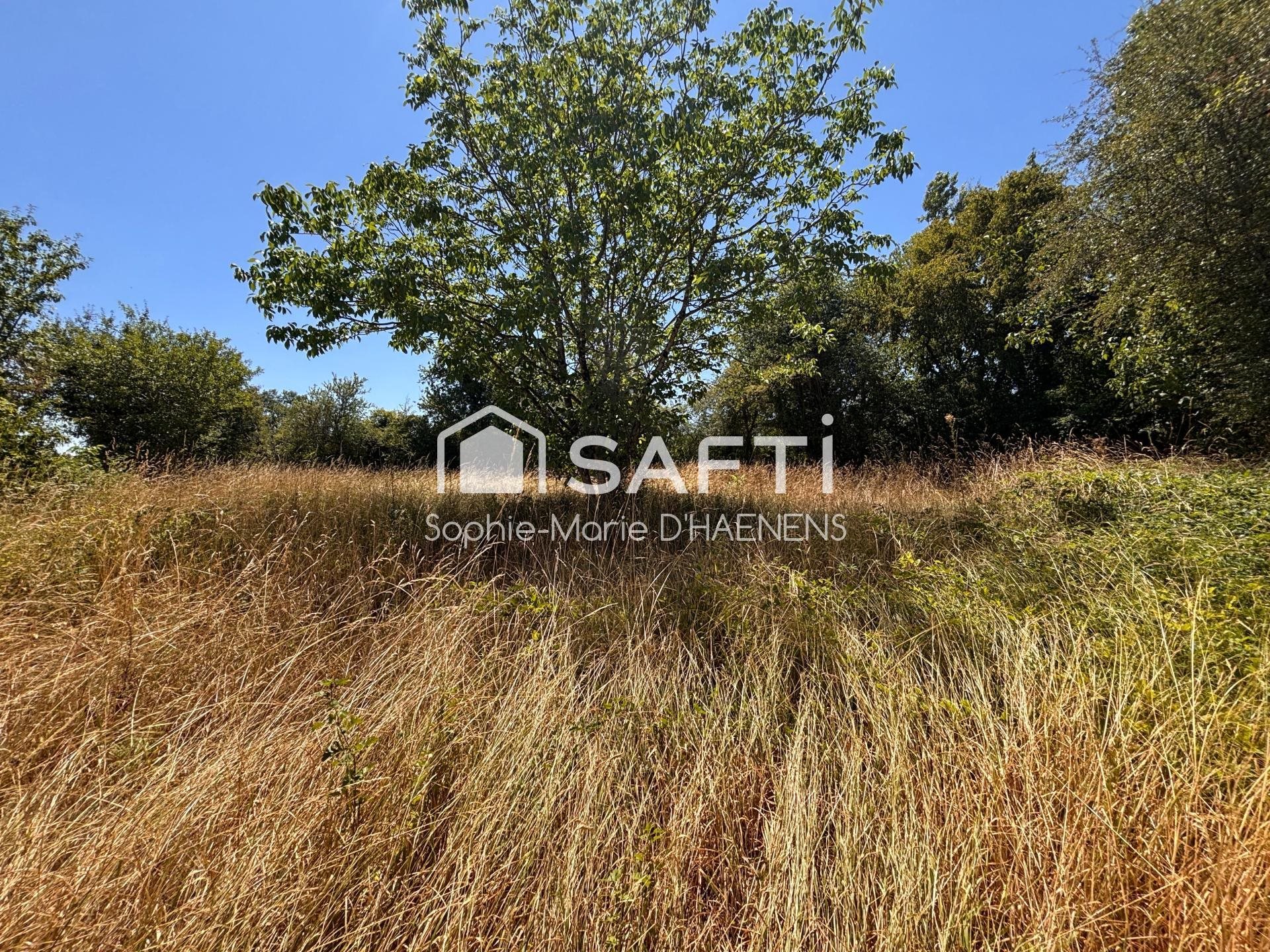 Maison à vendre, 60m², Alligny-Cosne
