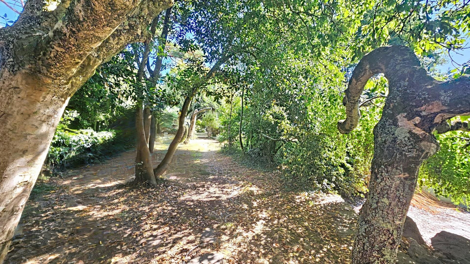 Maison à vendre, 180m², Piriac-sur-Mer
