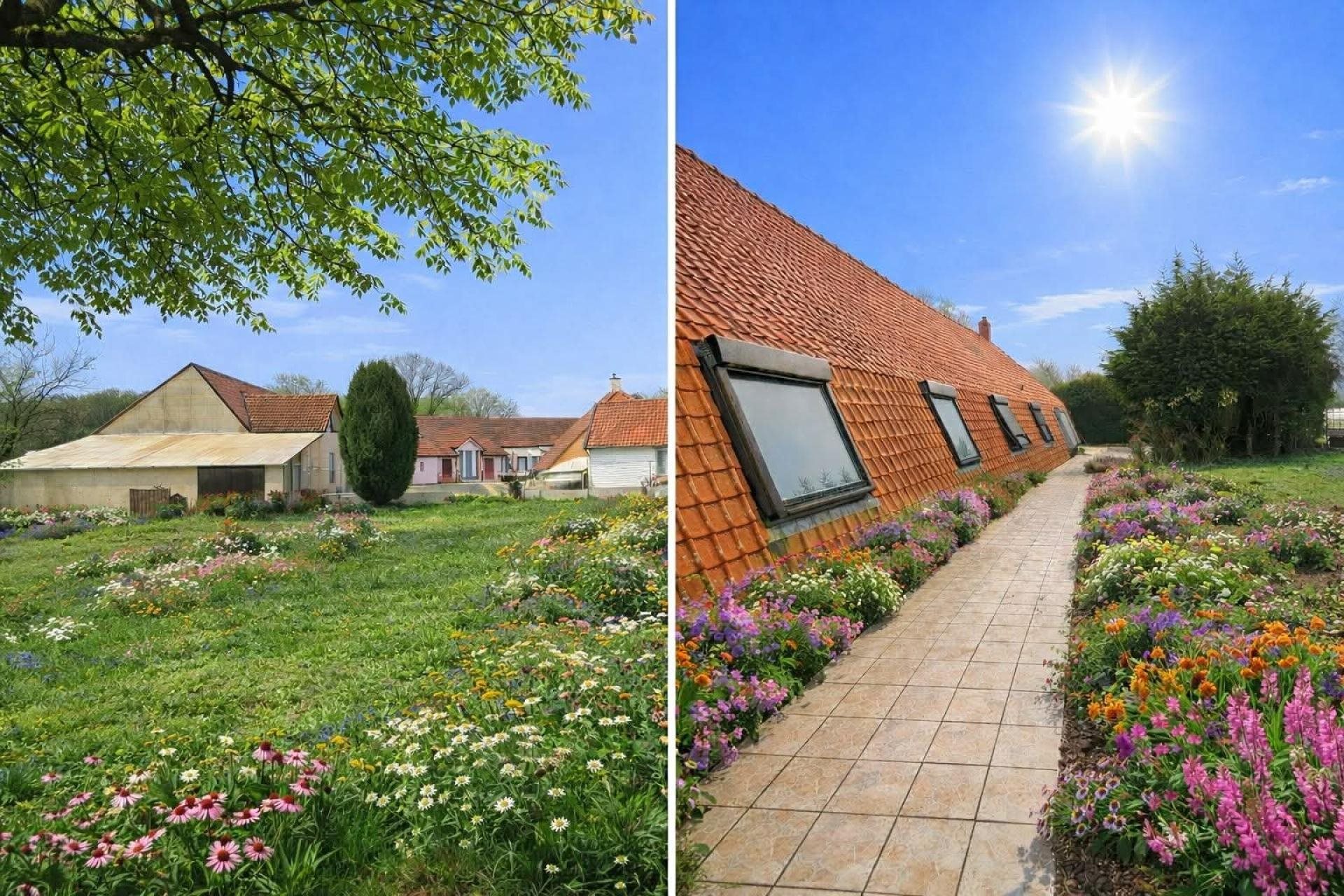 Maison à vendre, 220m², Audincthun