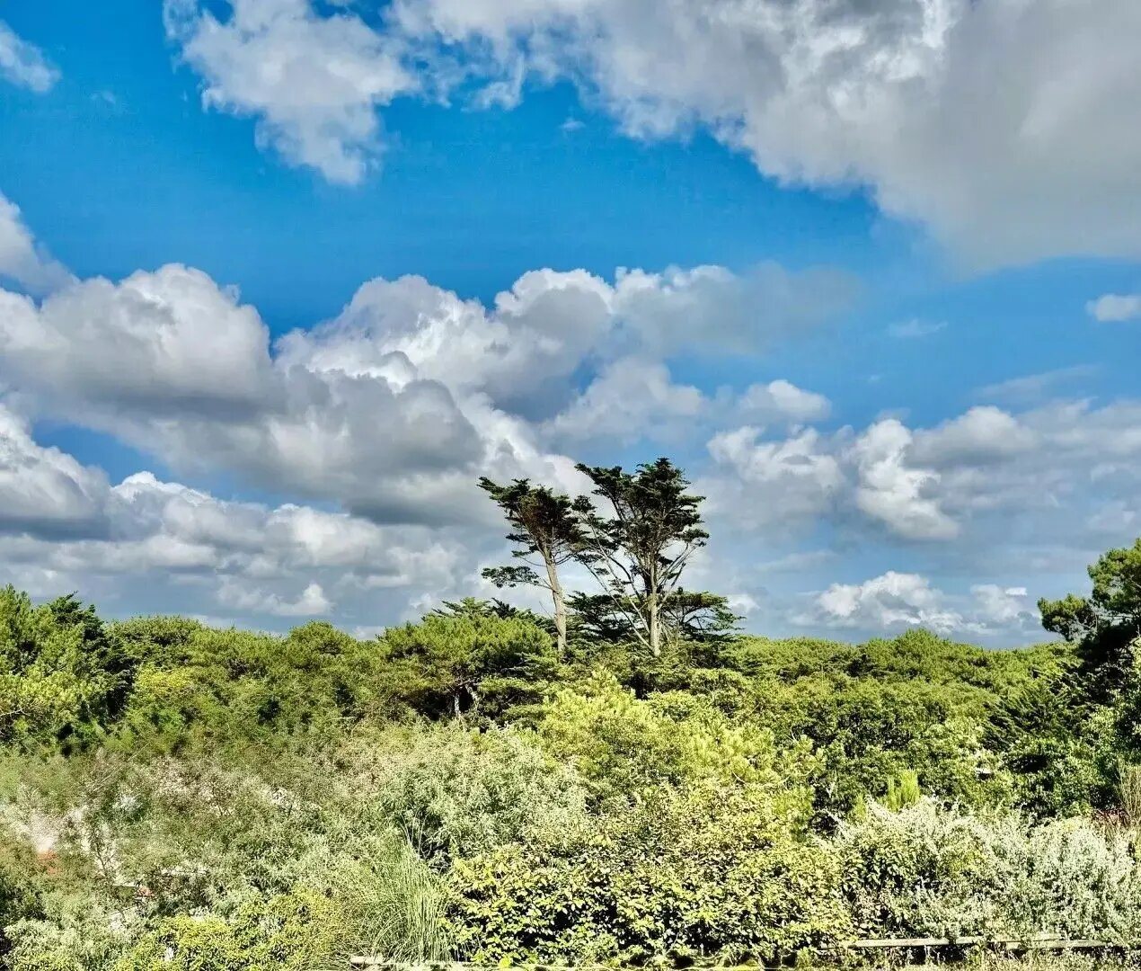 Maison à vendre, 185m², Soorts-Hossegor