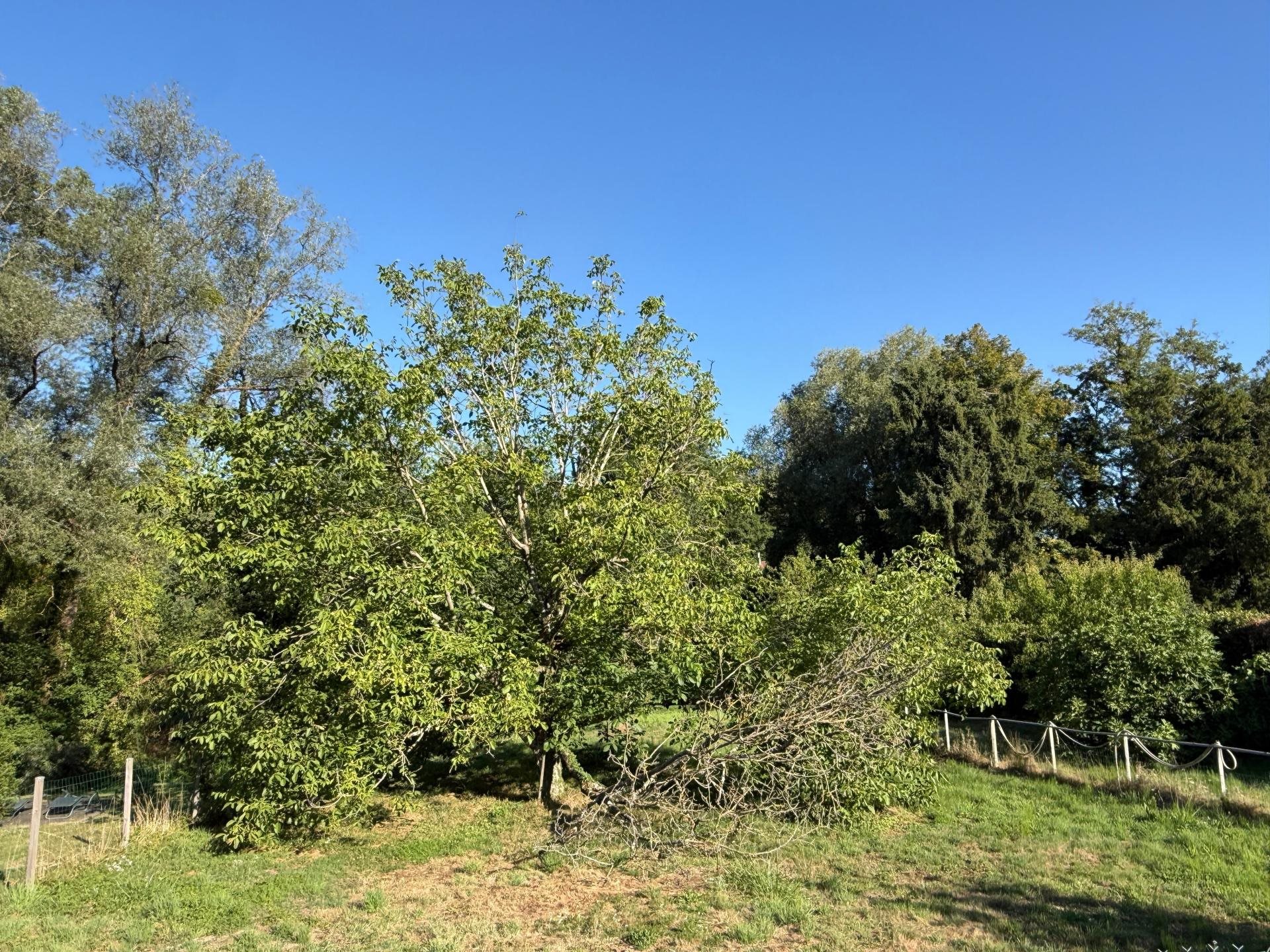 Maison à vendre, 81m², Domptin