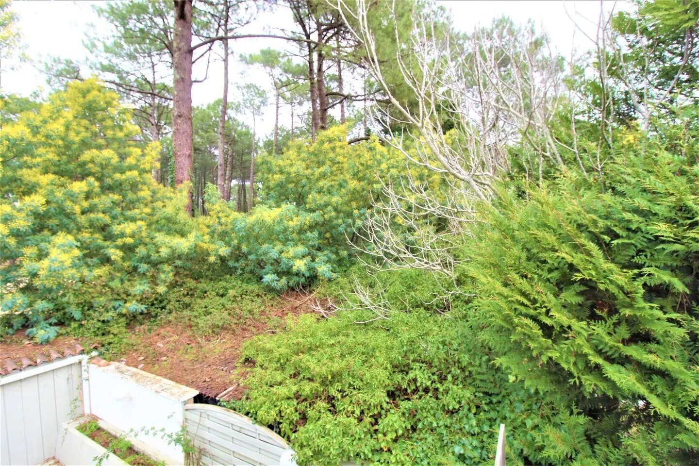 Appartement à vendre, 47m², Lège-Cap-Ferret