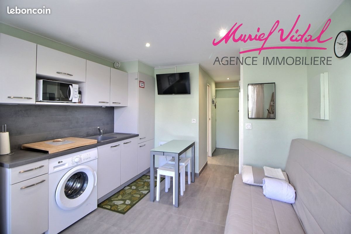 Appartement à vendre, 17m², Saint-Cyprien