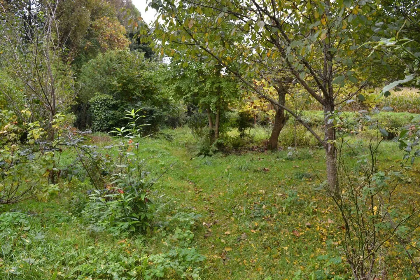 Maison à vendre, 146m², Guidel