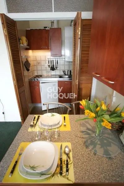 Appartement à louer, 27m², Dax