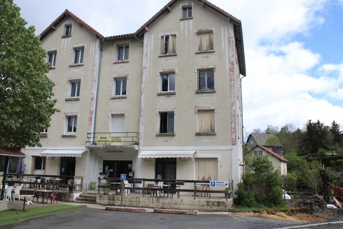 Maison à vendre, 670m², La Bastide-Puylaurent