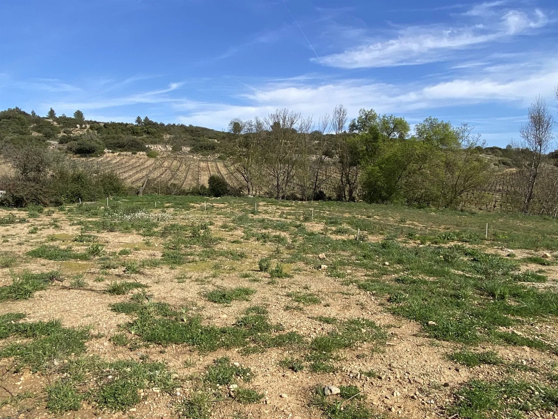Maison à vendre, 996m², Cessenon-sur-Orb