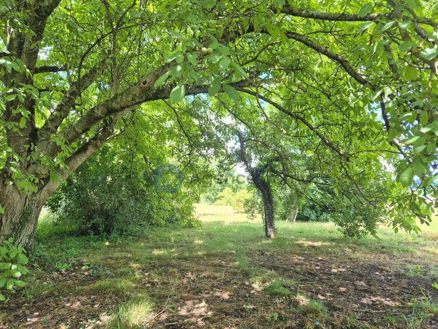 Maison à vendre, 137m², Navarrenx