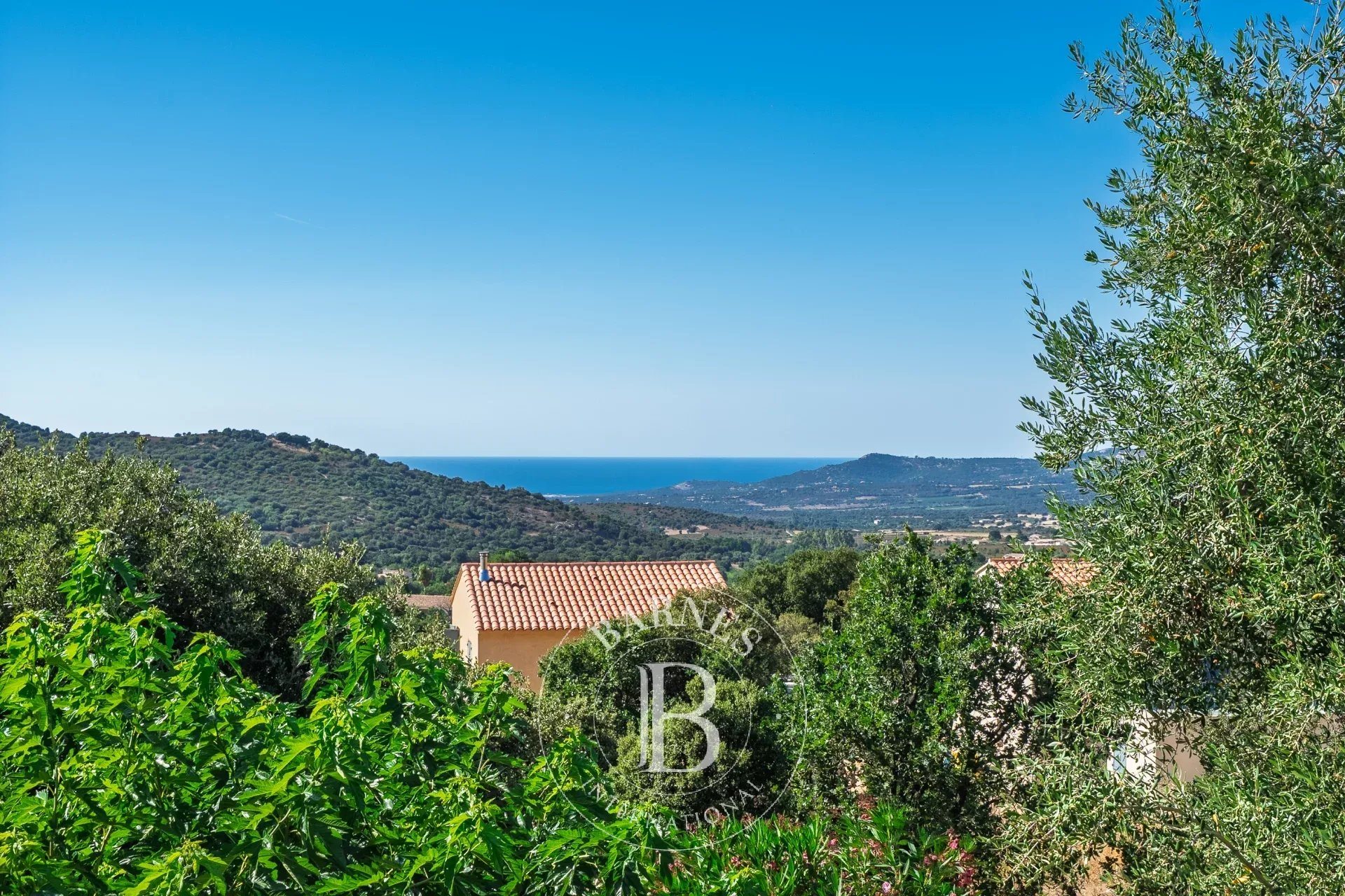 Maison à vendre, 231m², Calvi