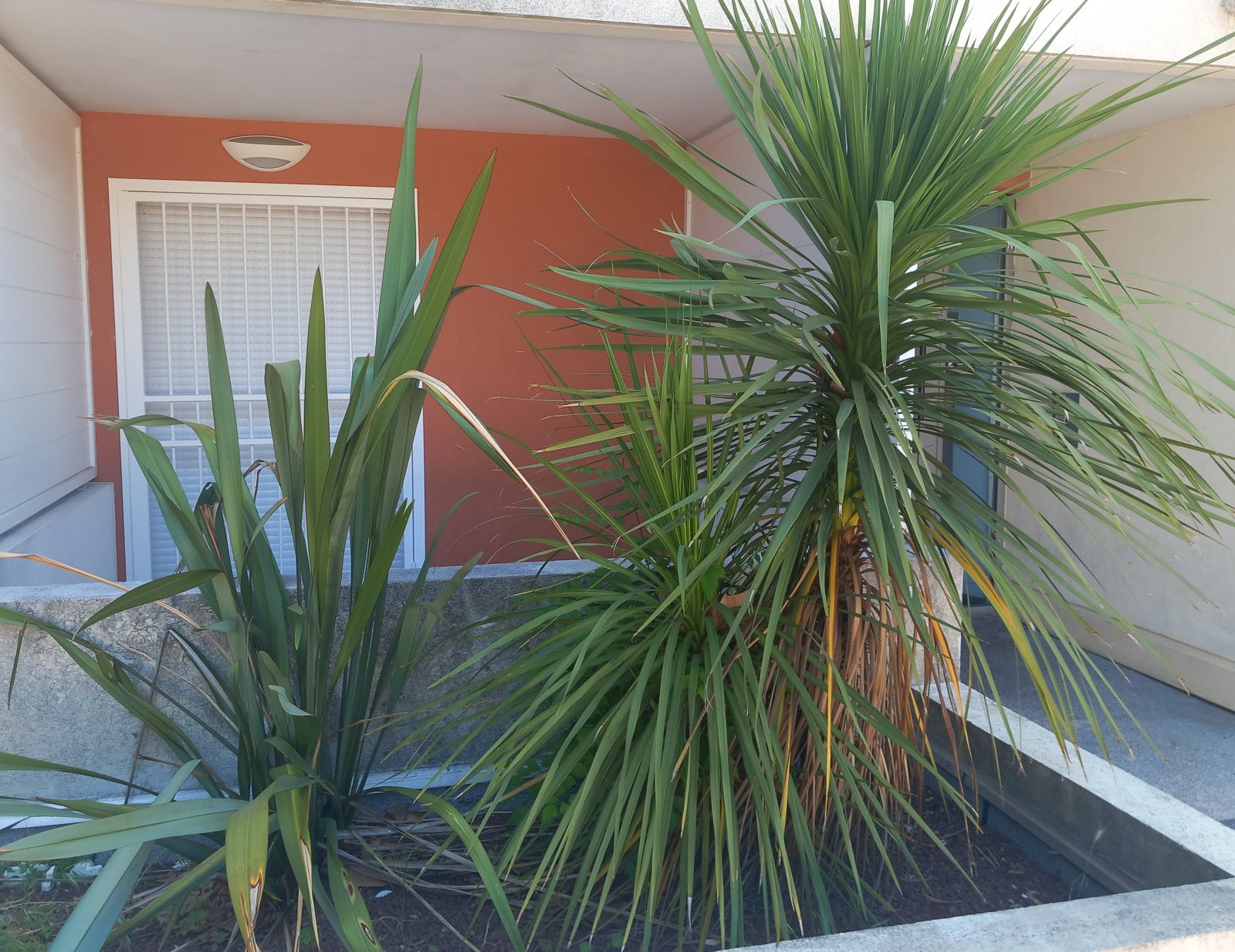 Appartement à vendre, 28m², Montpellier