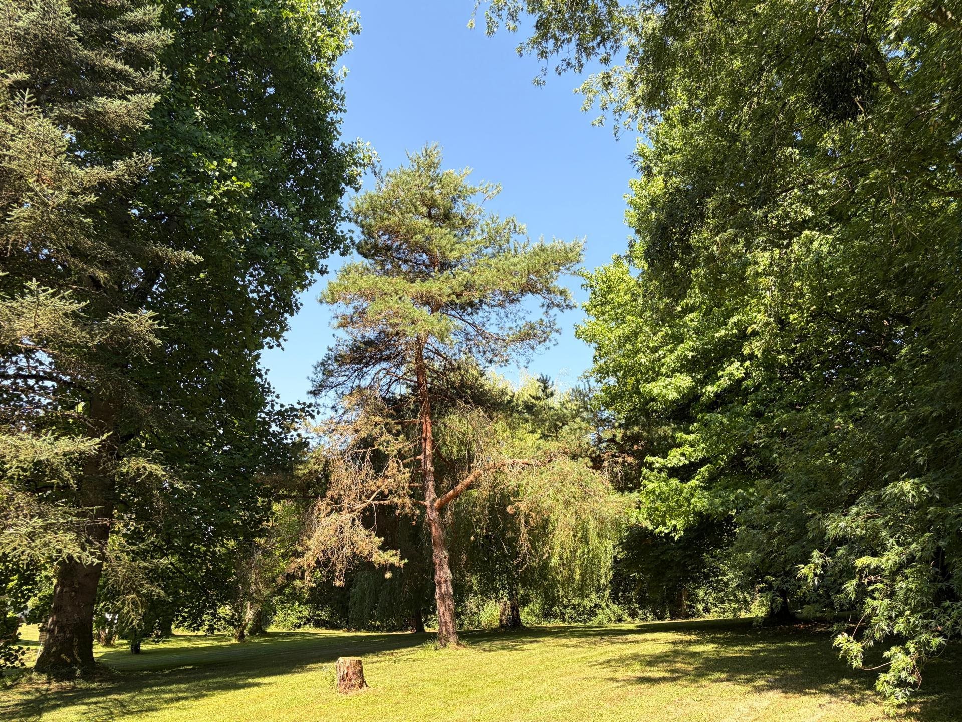 Maison à vendre, 160m², Louhans