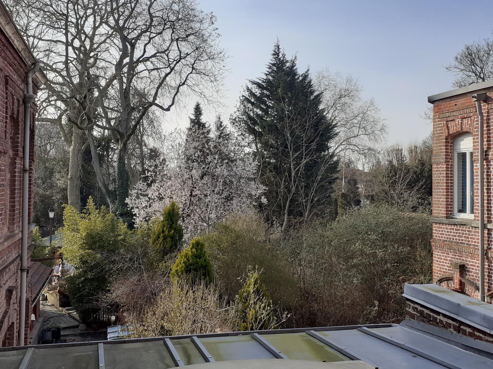 Appartement à vendre, 23m², Roubaix