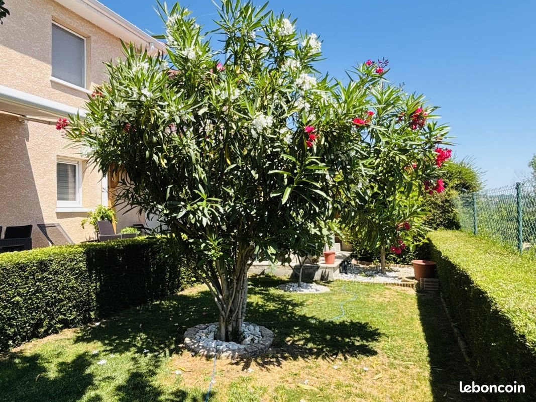 Maison à vendre, 125m², Péron