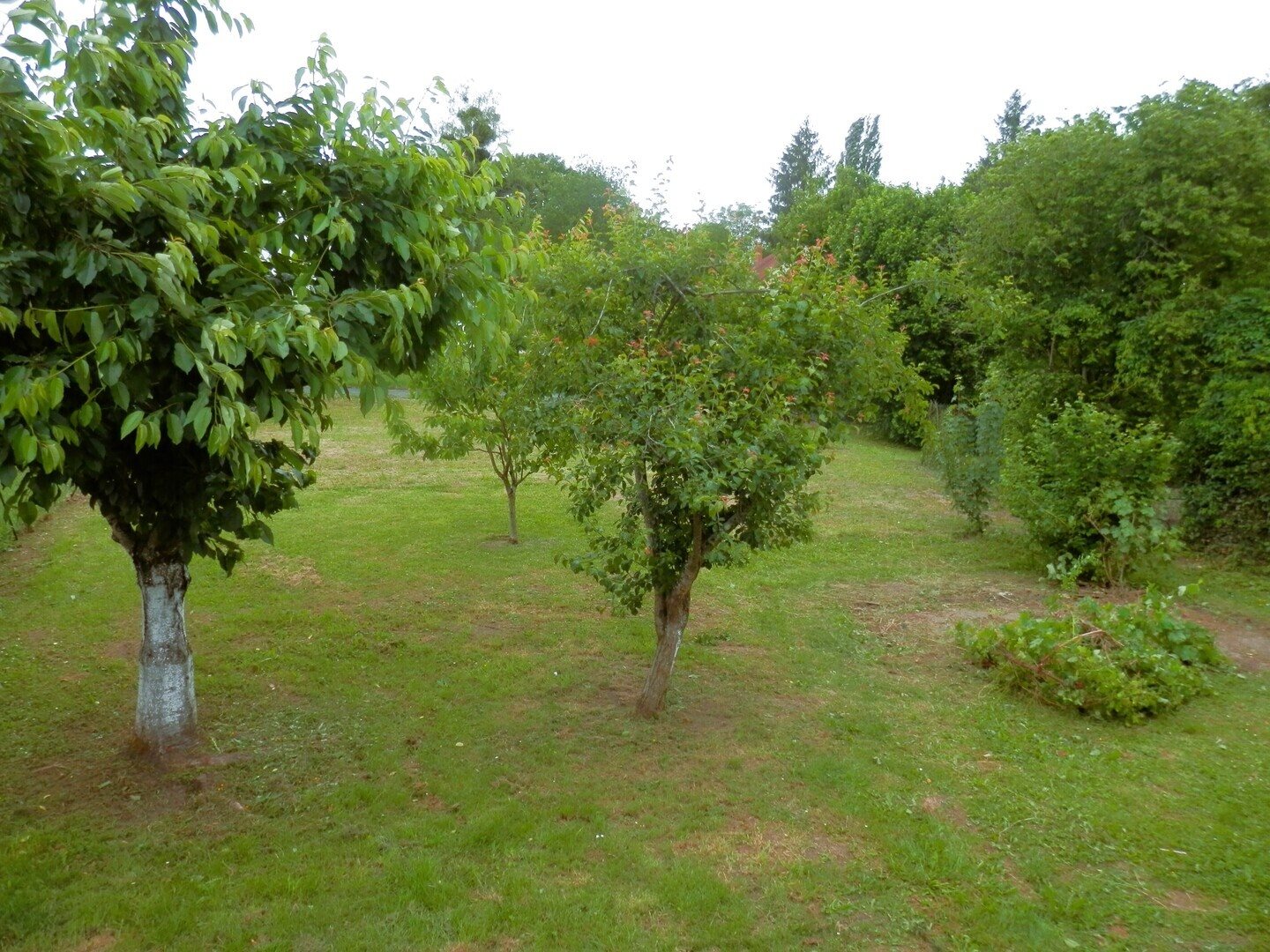 Maison à vendre, 23m², Poix-de-Picardie
