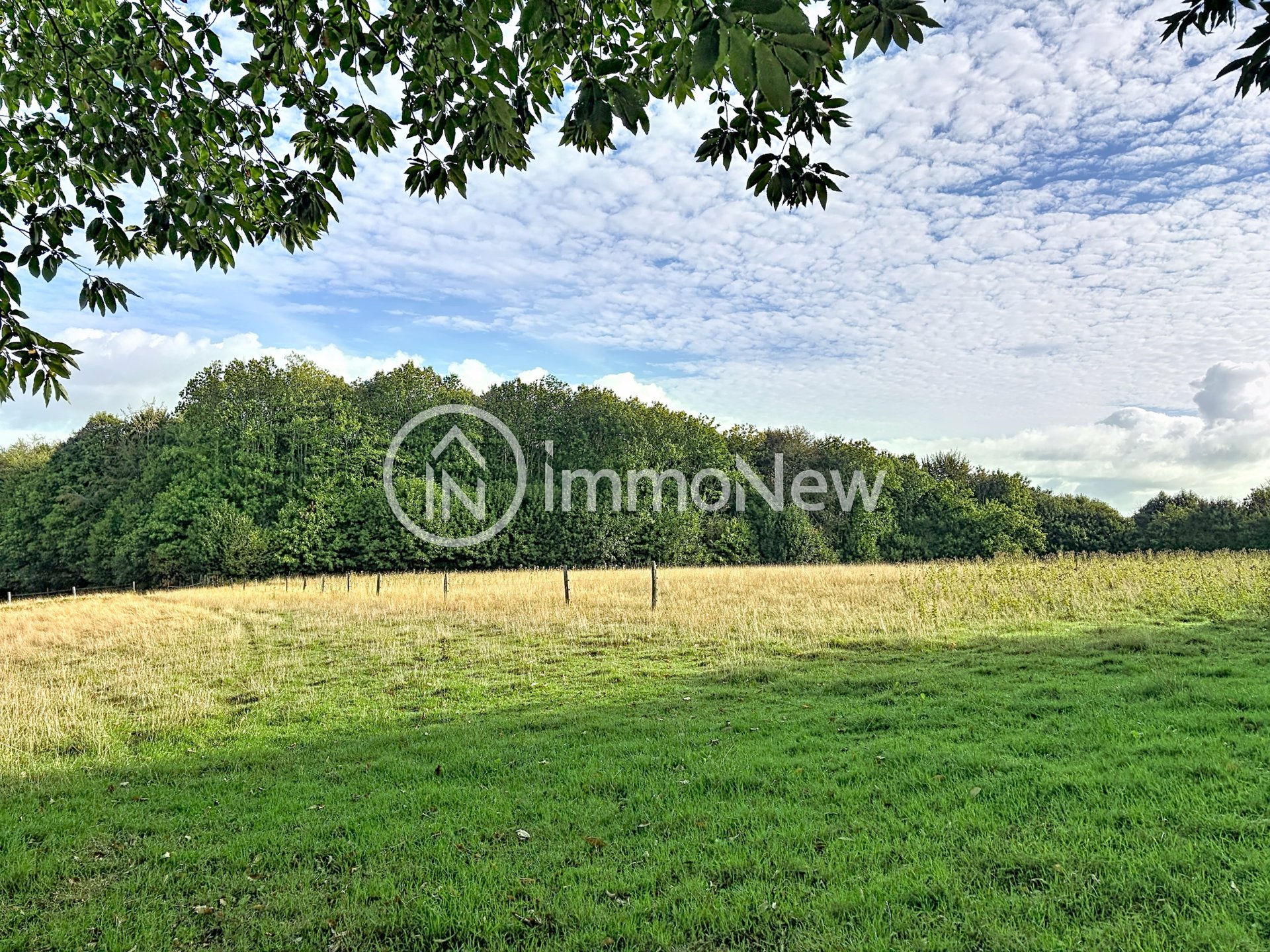 Maison à vendre, 100m², Le Grand-Celland