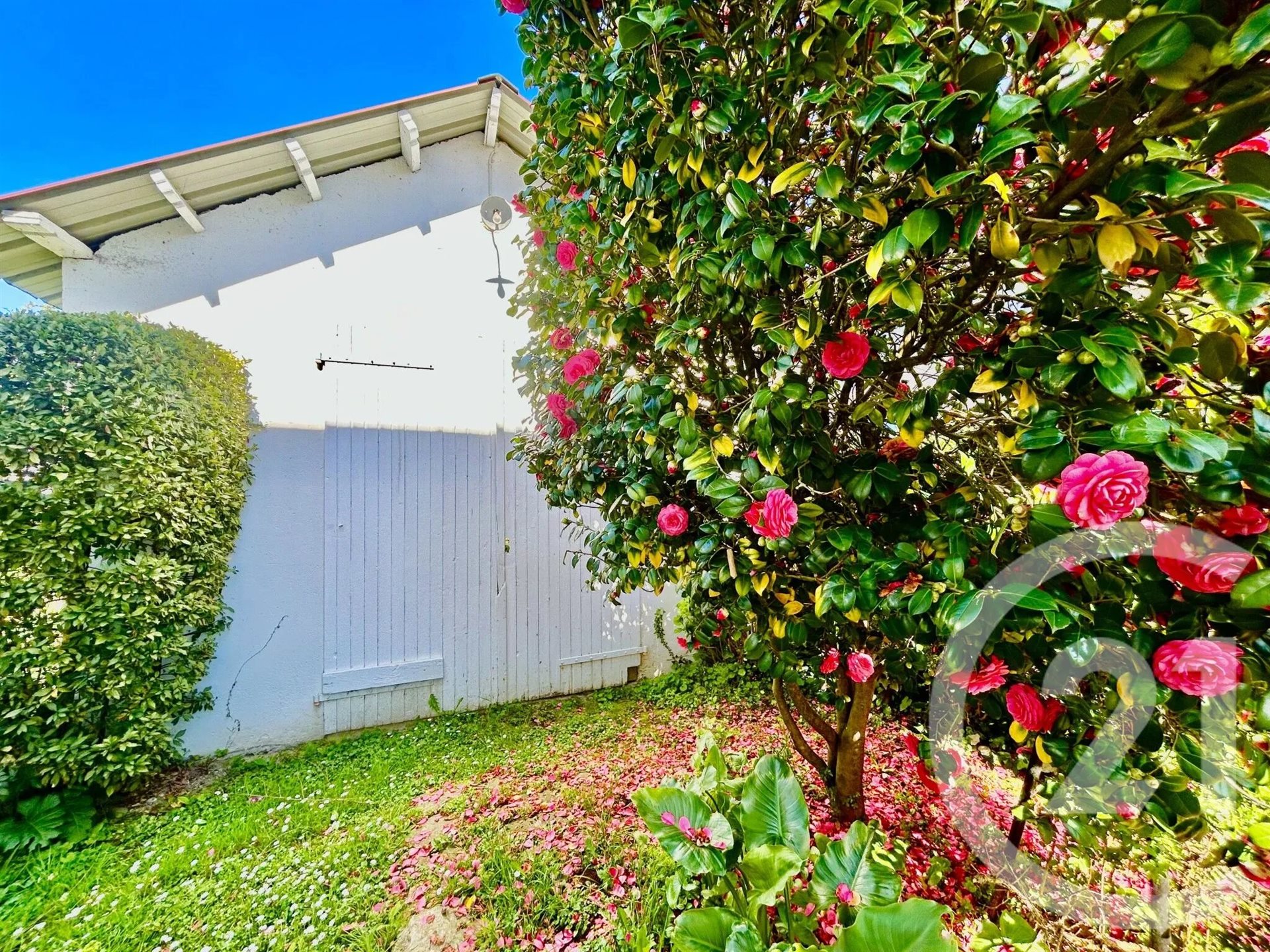 Maison à vendre, 160m², Pau