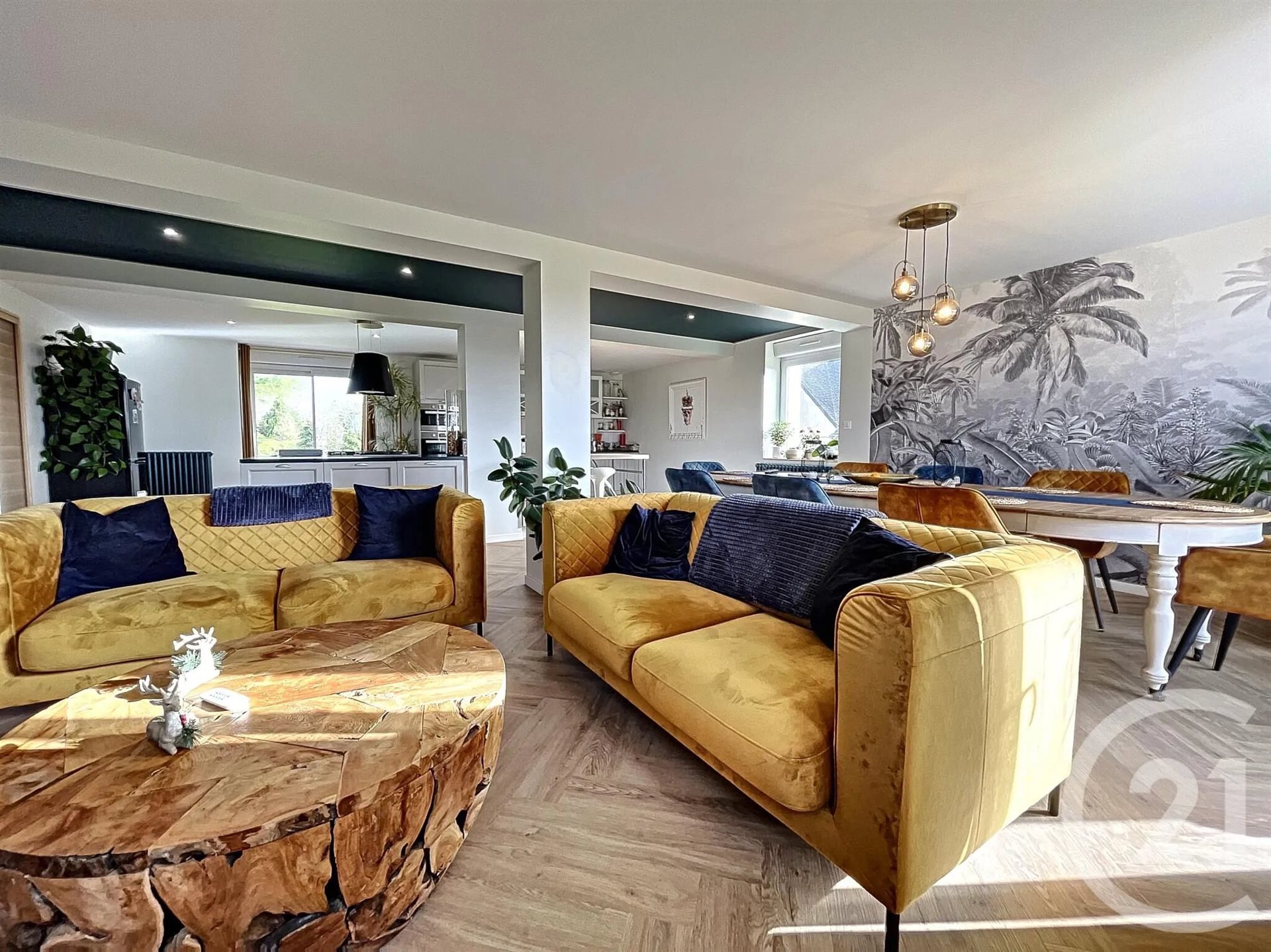 Maison à louer, 216m², Guipavas